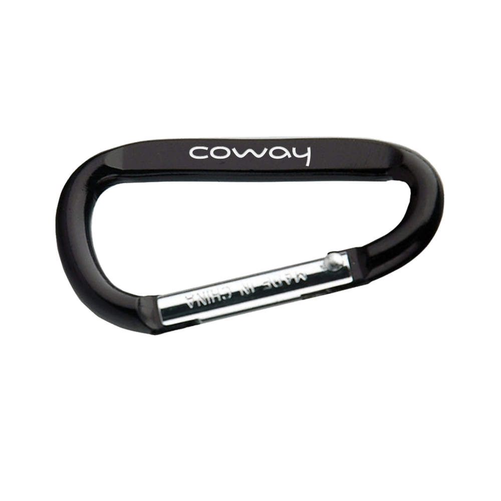 Small Carabiner 2