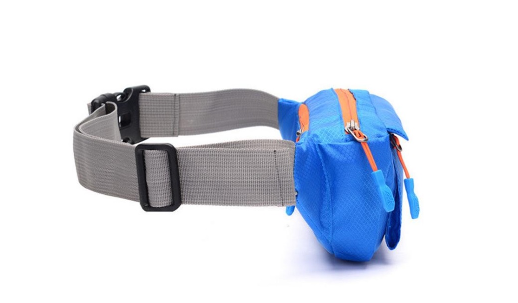 Travel Fanny Pack 4