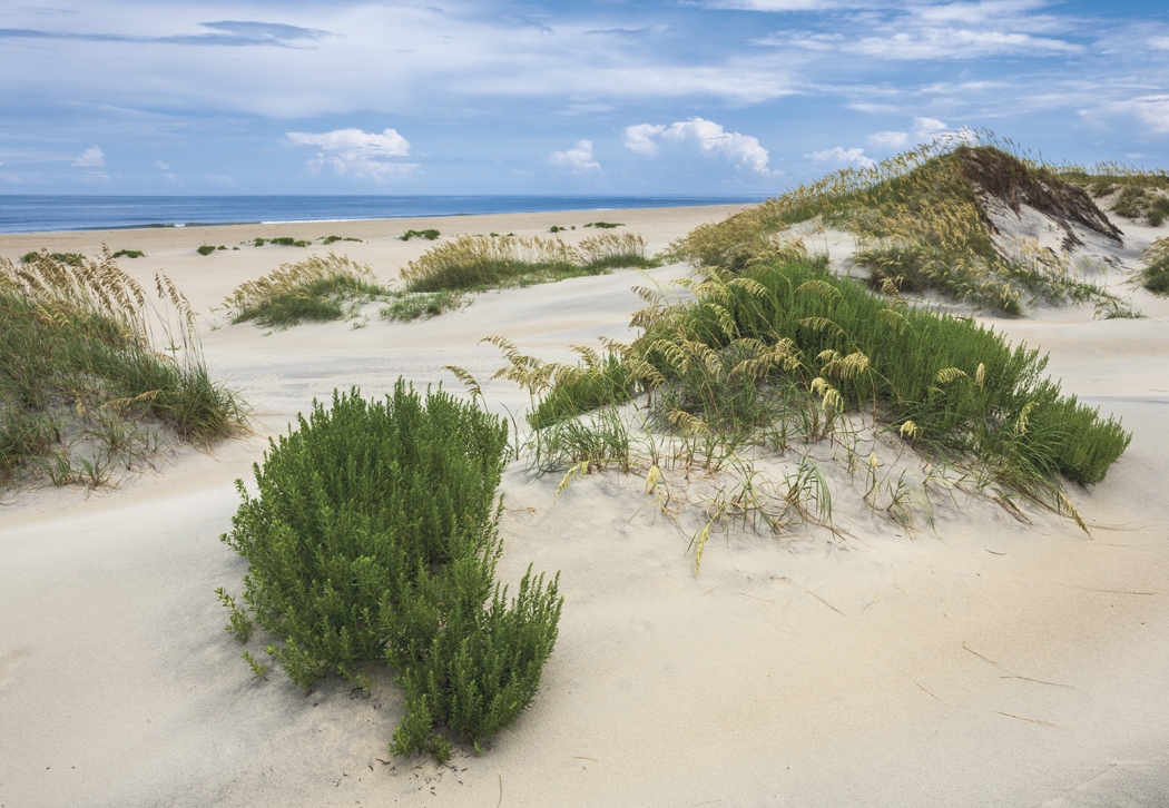 HotLine® Products Our Beautiful America® Executive Calendar 35