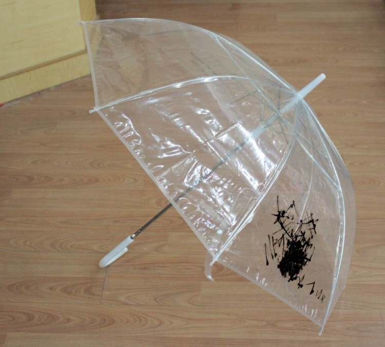 Custom Transparent Umbrella 1