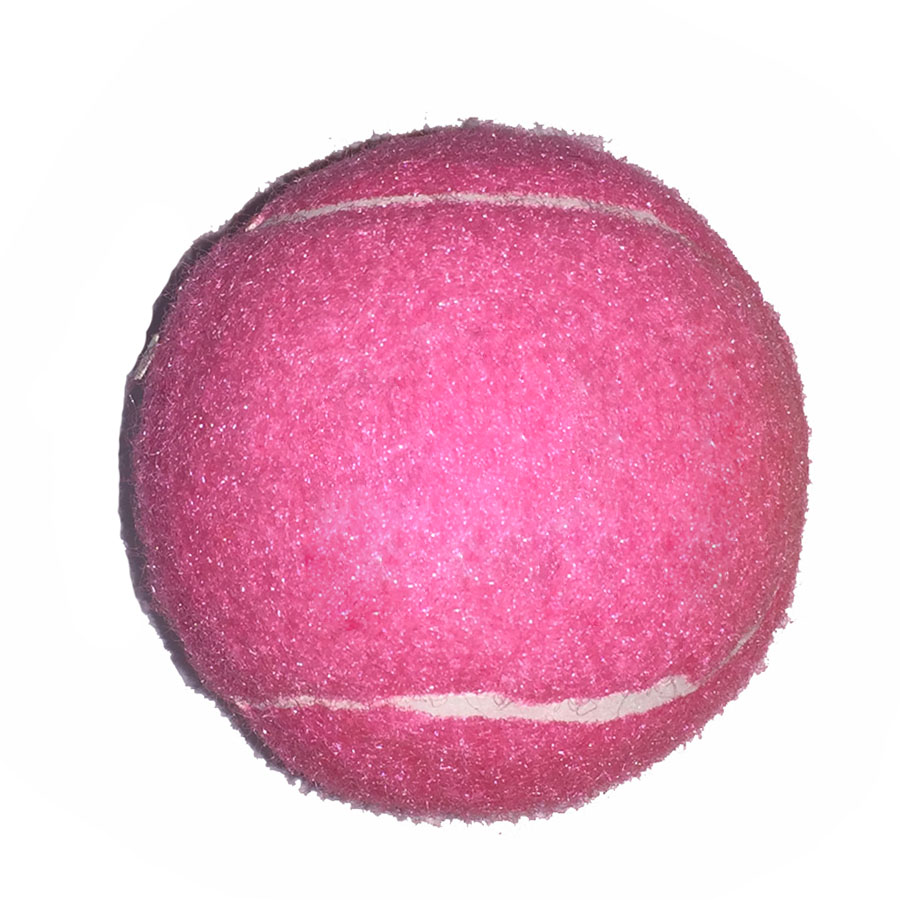 Full Color Fido's Dog Ball 5