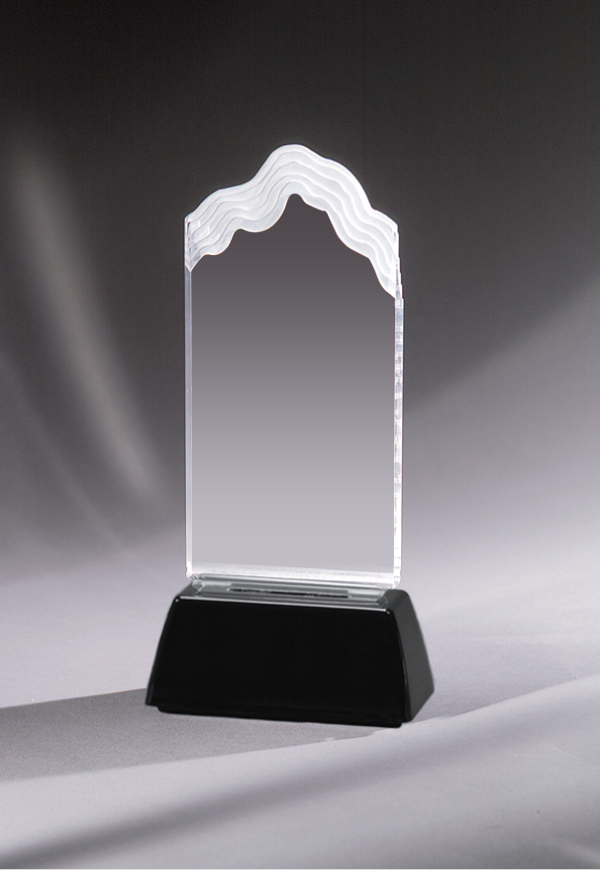 Acrylic Award 8
