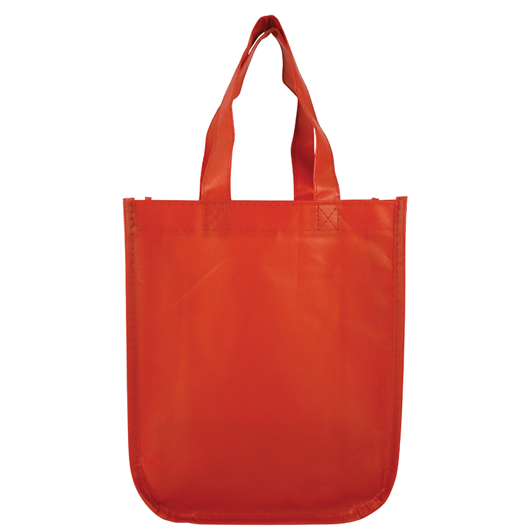 Sundale Small Matte Laminated Tote Bag 21