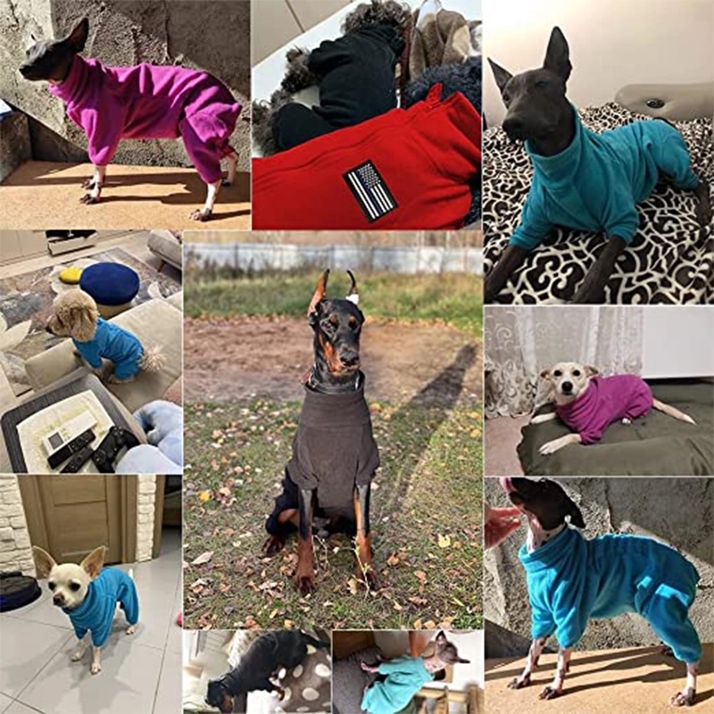 Letters Winter Pet Dog Hoodies Cotton Warm Clothes 3