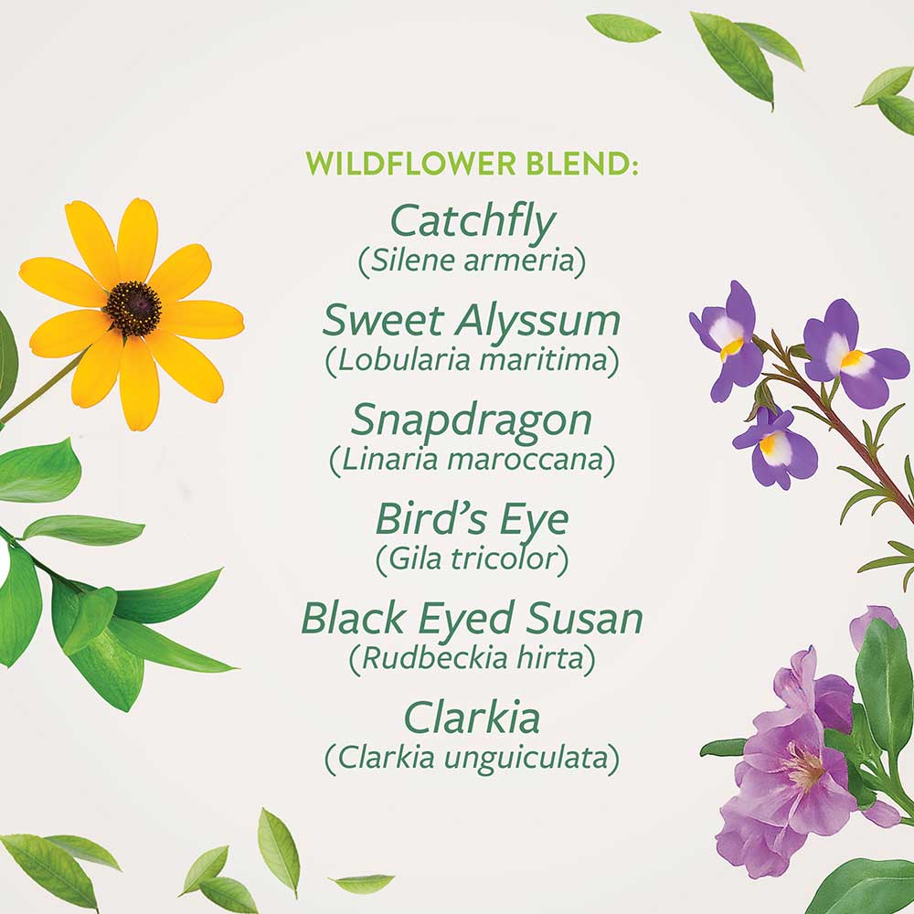 Winter Tree Ornament Business Holiday Cards 12