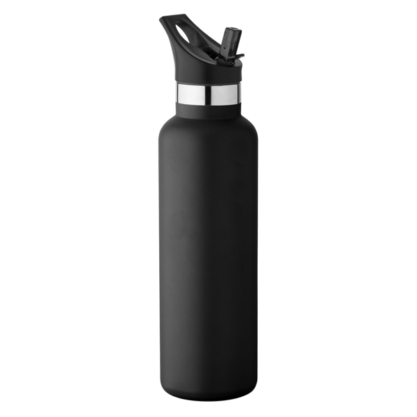 20 oz Basecamp Mesa Tundra Bottle with Screw Top and Flip-Top Straw Lid 162
