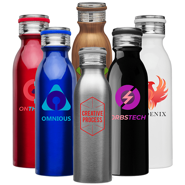 Stainless Steel Water Bottle - Double Wall Vacuum 10