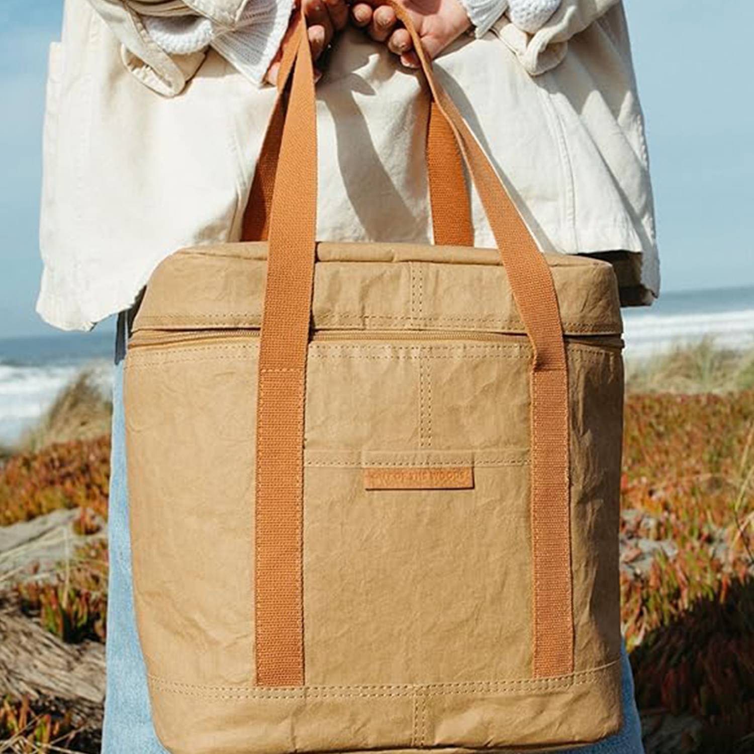 Dupont paper tote cooler bag 3