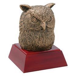 Economy Academic And Mascot Resins 32