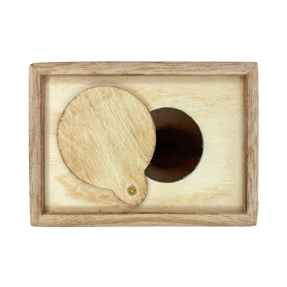 Wood Coin Bank 6