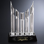 Vestige Award 12