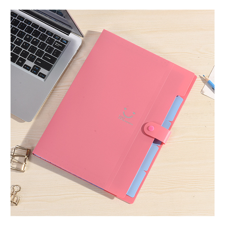 Colored Expanding File Folder 6