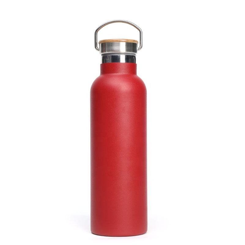 Stainless Steel Vacuum Insulated Bottle 20oz 5