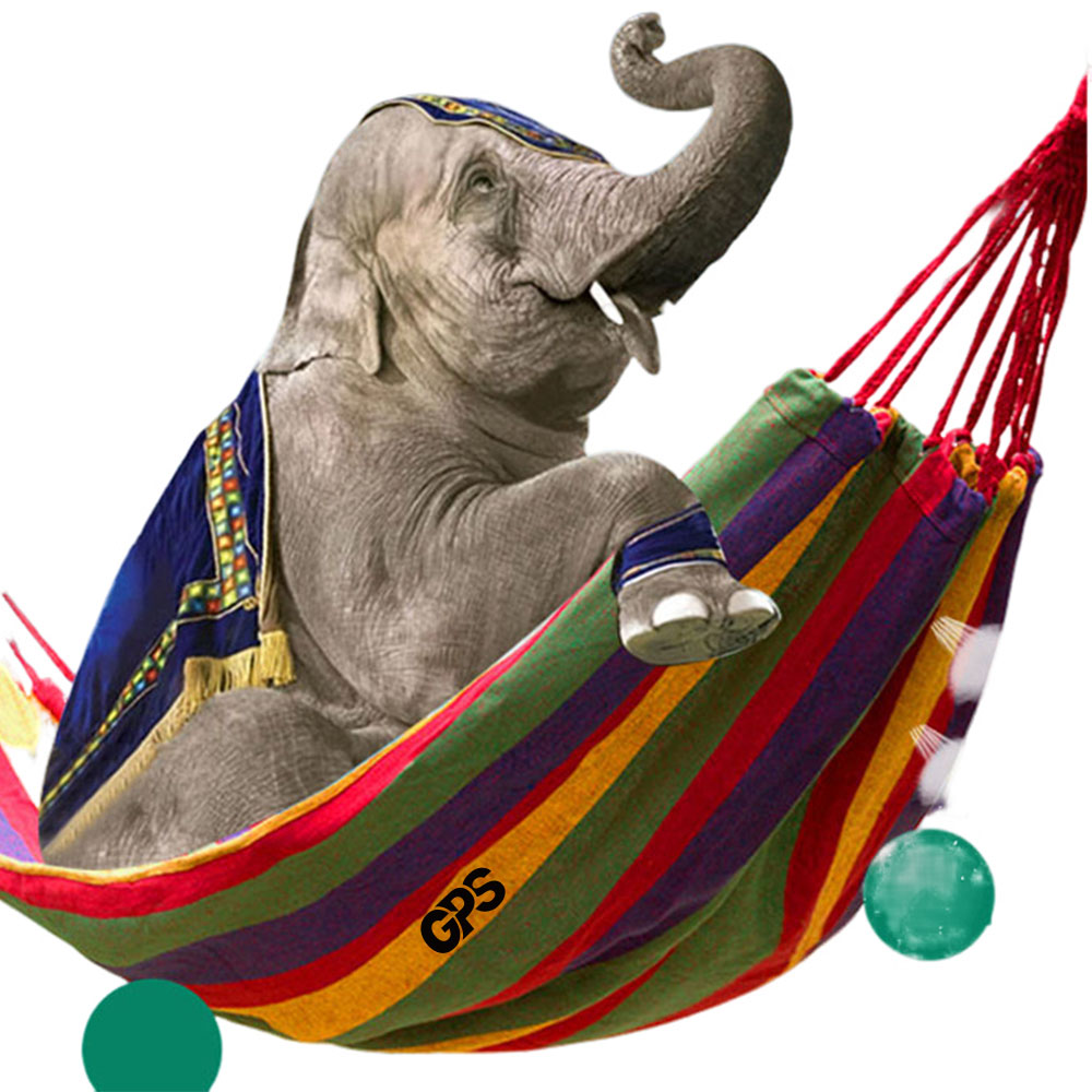 Hammock