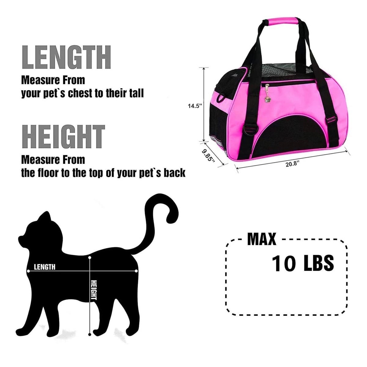 Pet Carrier 3