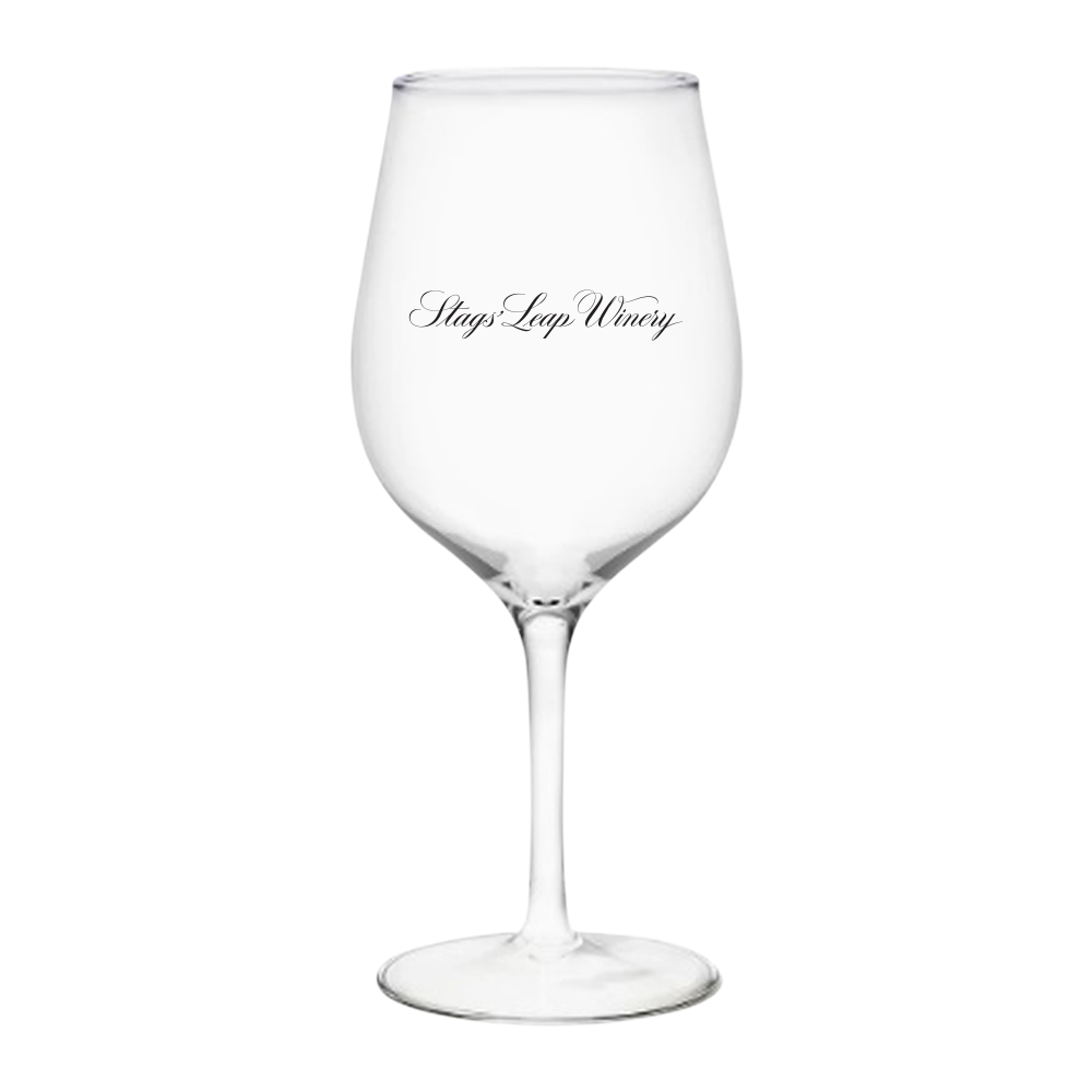 16oz. Acrylic Wine Glass 2