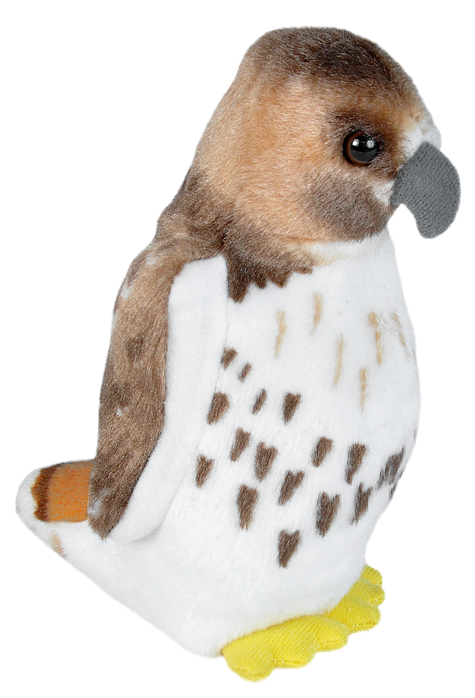 7" Audubon Red Tailed Hawk 2