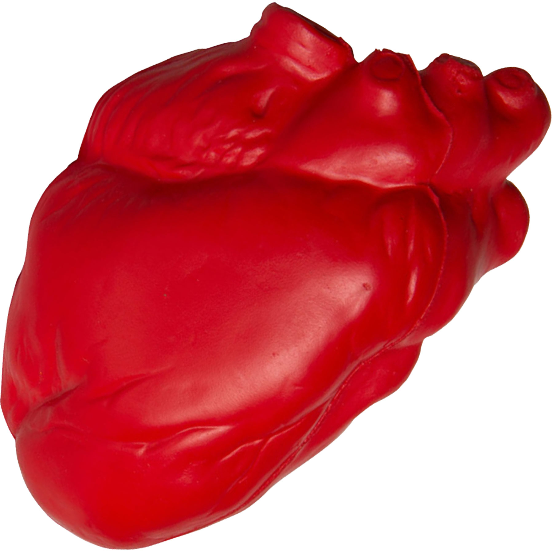 Anatomical Heart Stress Reliever 2