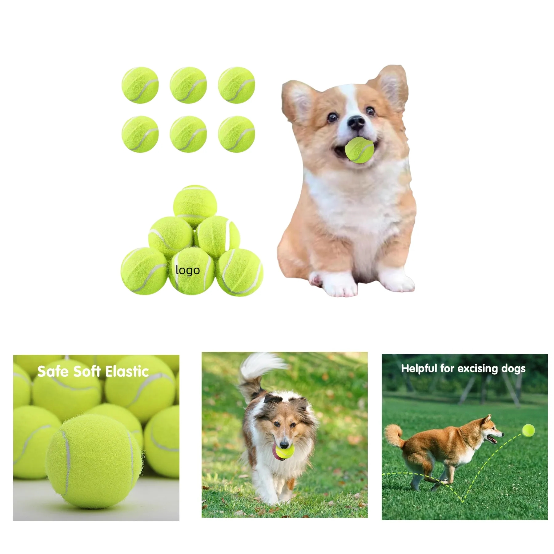 Pet Training Tennis Ball 1