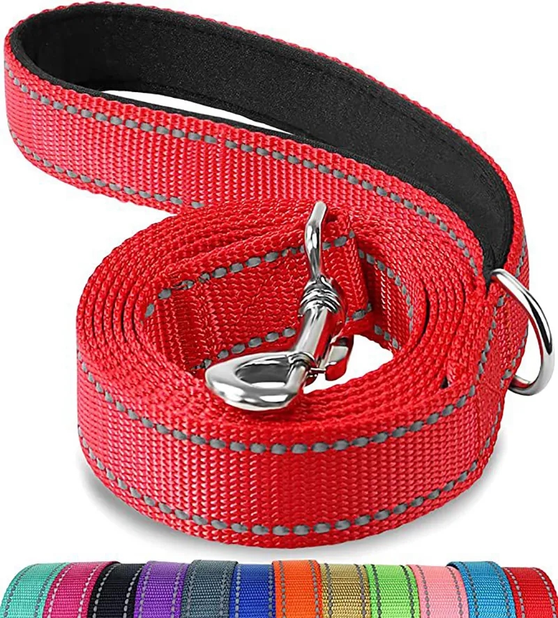 Dog Leash 3
