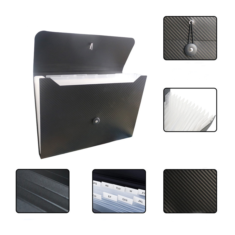 Large Size Expanding File 2