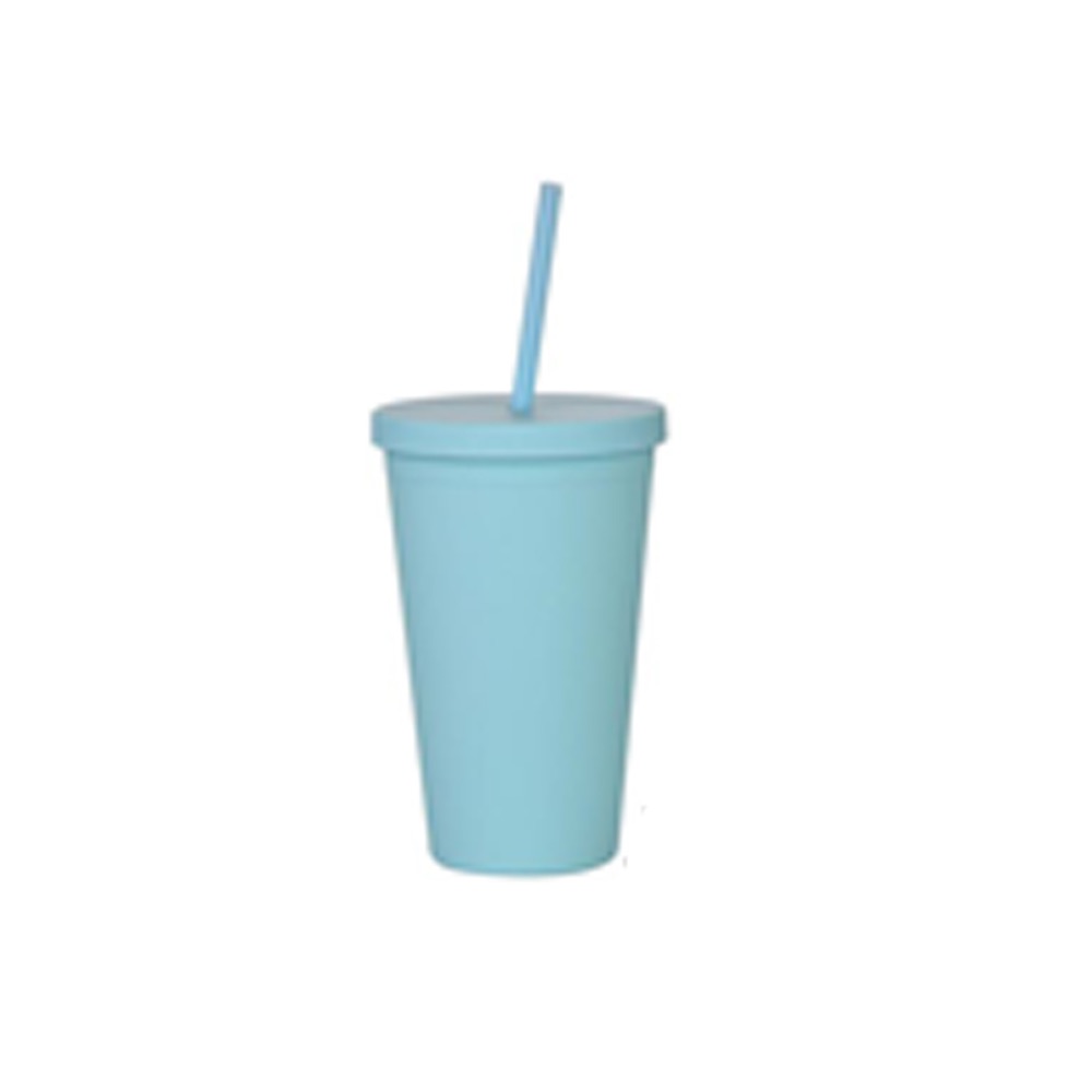 Double-Layer Plastic Straw Cup 5