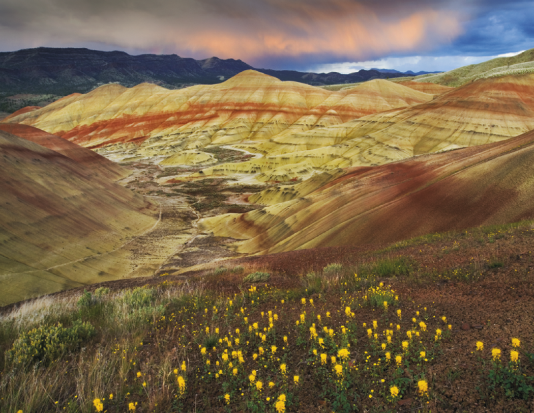 Good Value™ Landscapes of America - Stapled Calendar 29