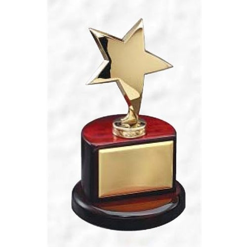 Modern Rosewood Star Award 1