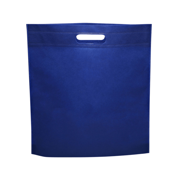 Vega Exhibition Tote Bag 22