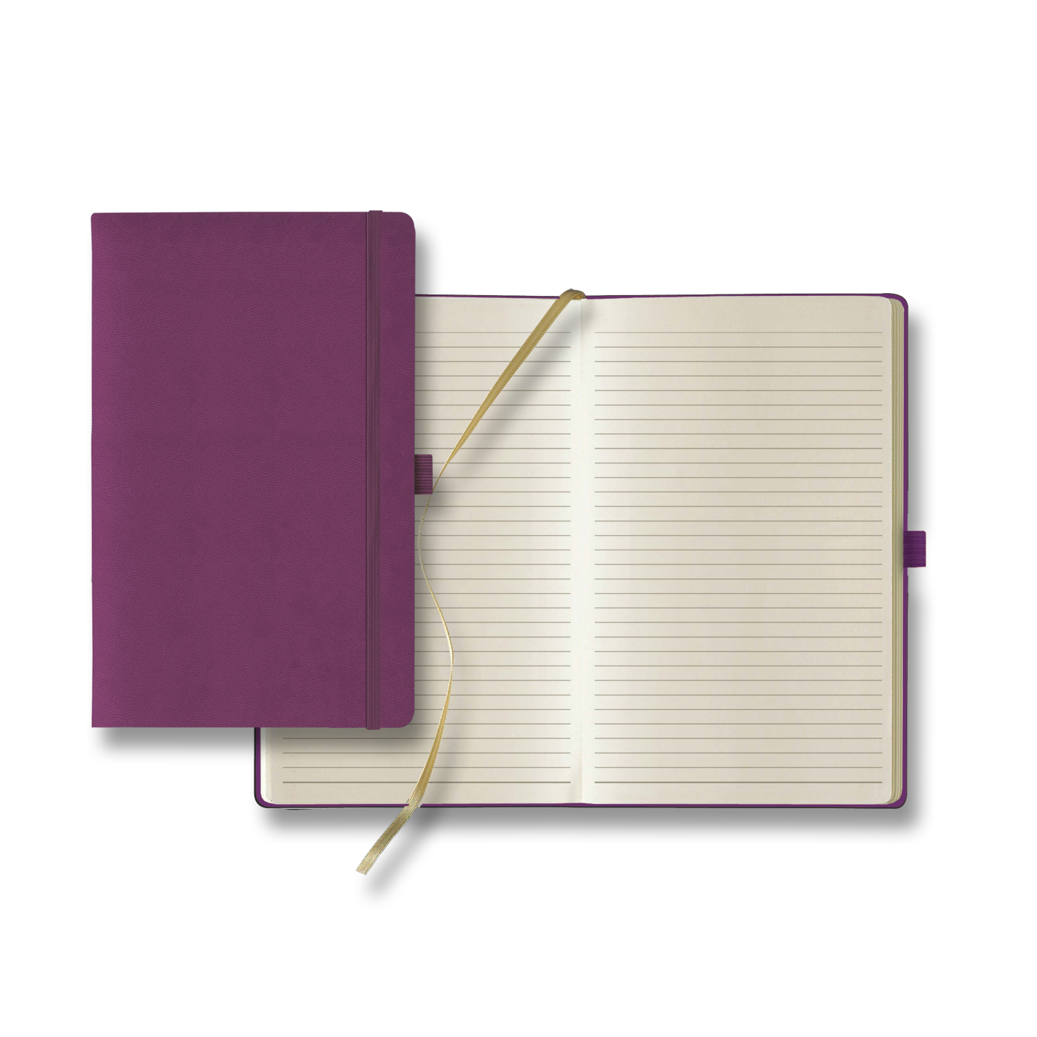 Castelli Tucson Medio Lined Ivory Page Journal 14