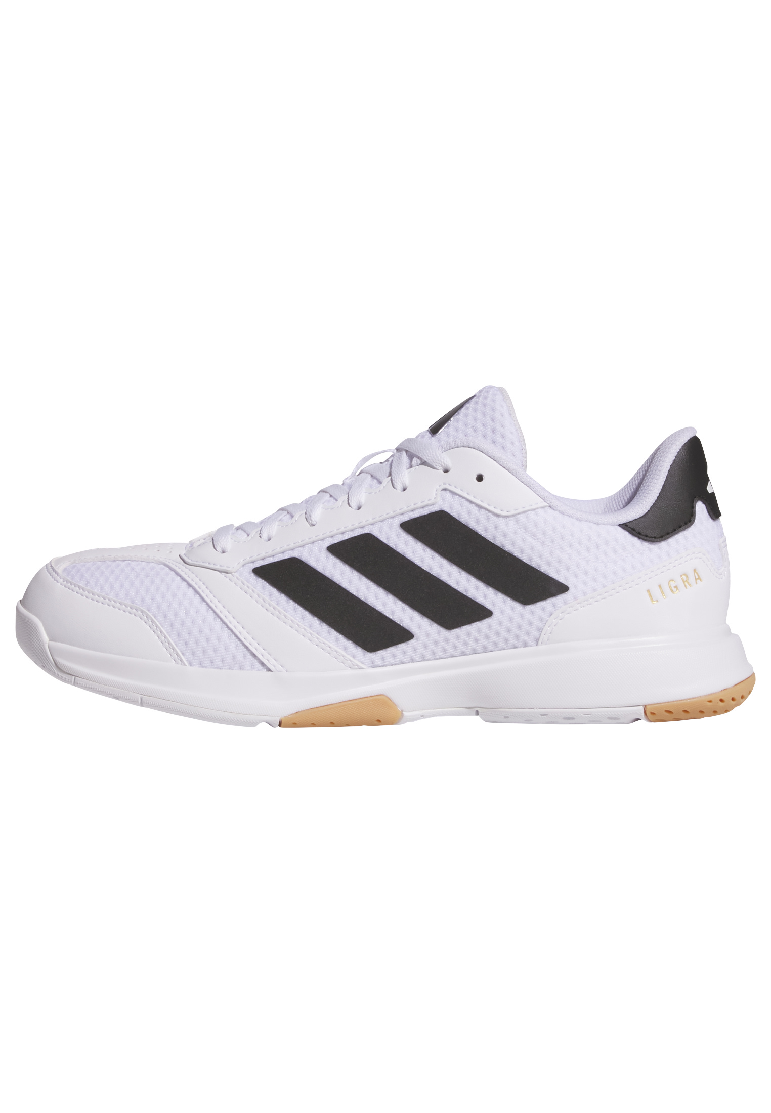 Ligra 8 Indoor Shoes 2