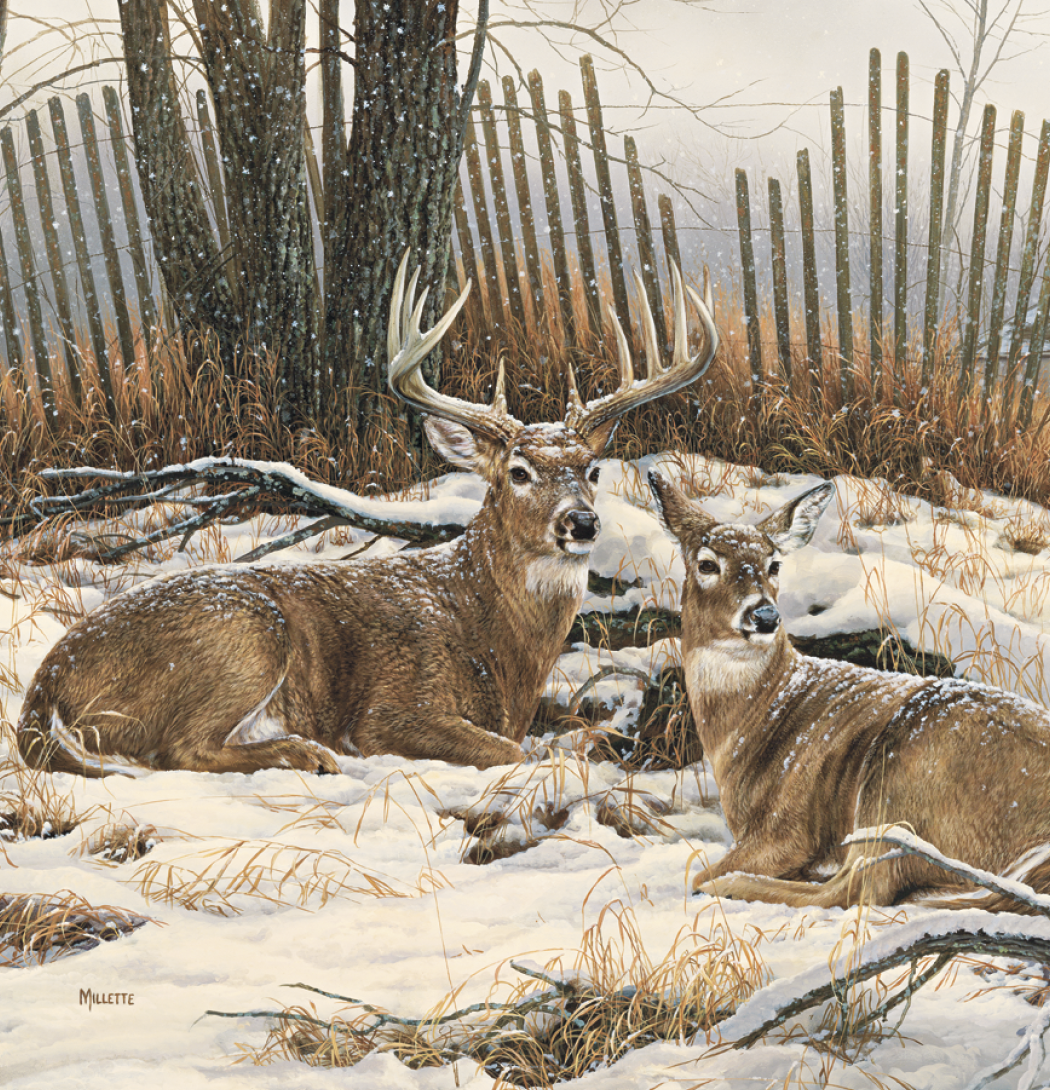 Triumph® Calendars Wildlife Art Calendar 52