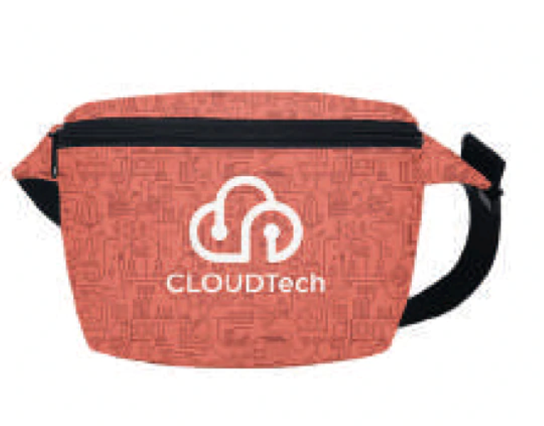 Fanny pack 2