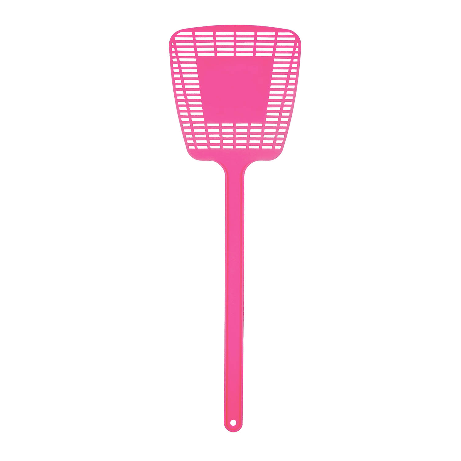 Fly Swatter 31