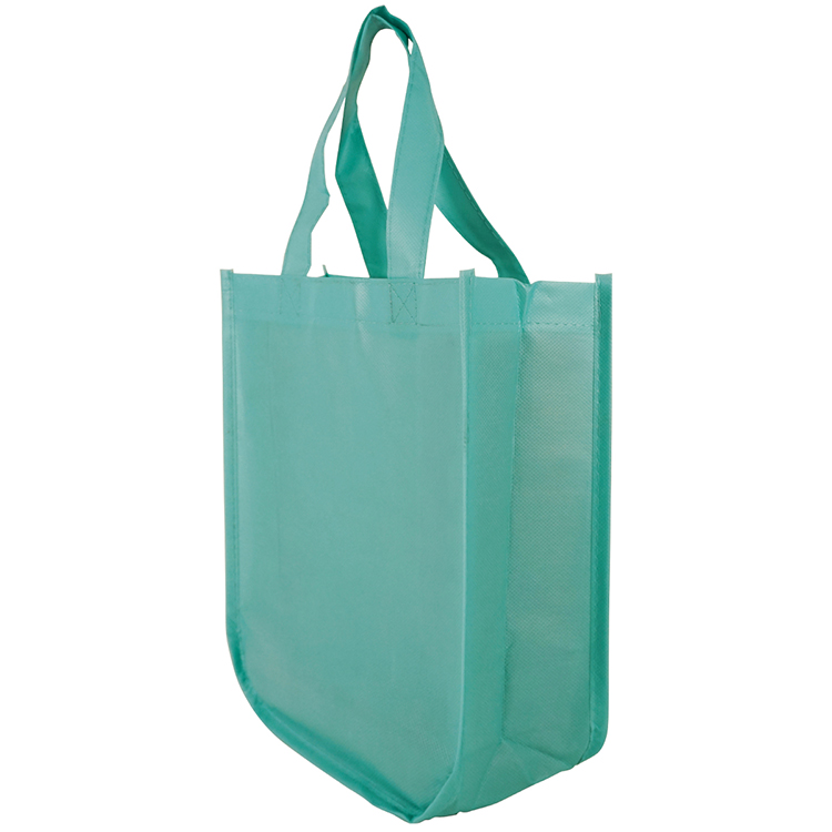 Sundale Small Matte Laminated Tote Bag 29