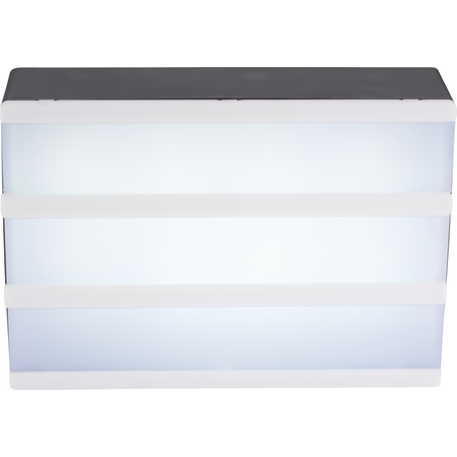Cinema Light Box - Small 32