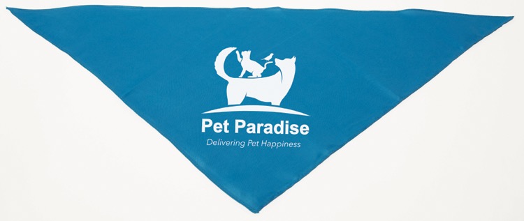 Personalized Large Turquoise/Teal Triangle Pet Bandana