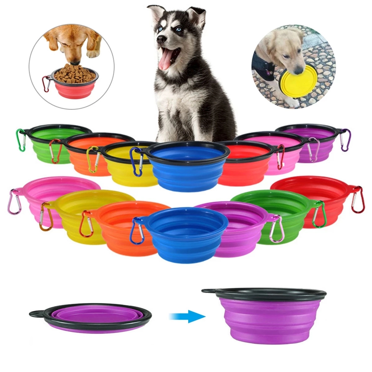 Folding Bowl For Pet MOQ 50 PCS 2