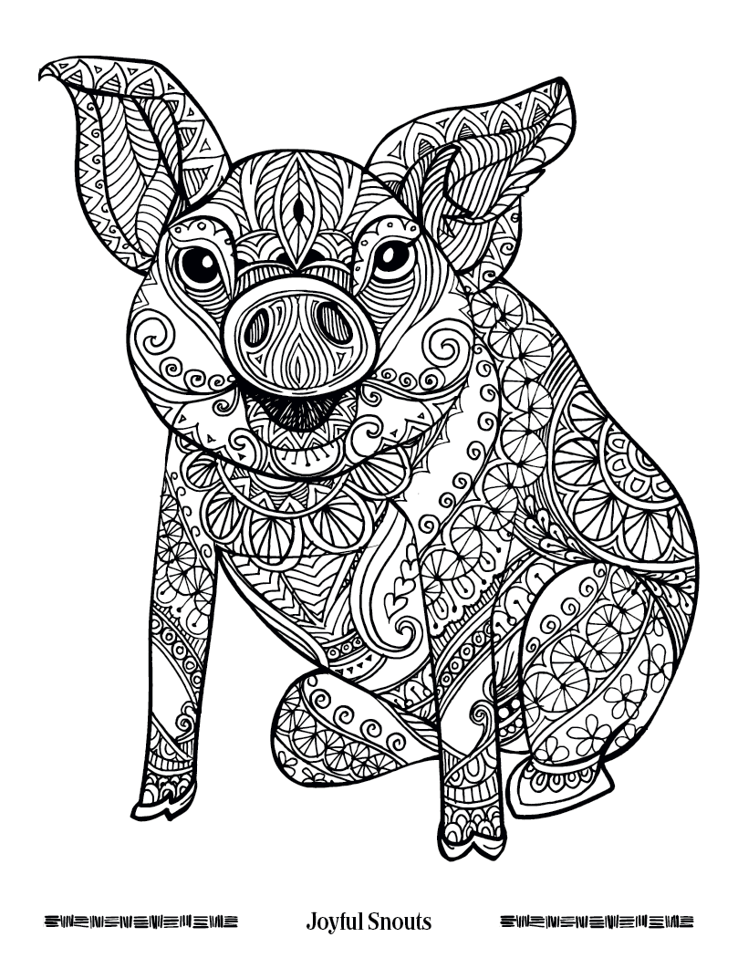 Good Value™ Wild Wonders Adult Coloring Book 13
