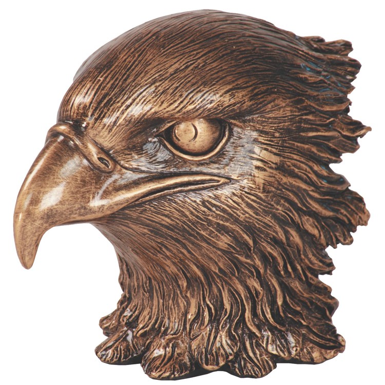Eagle Leadership Award 1