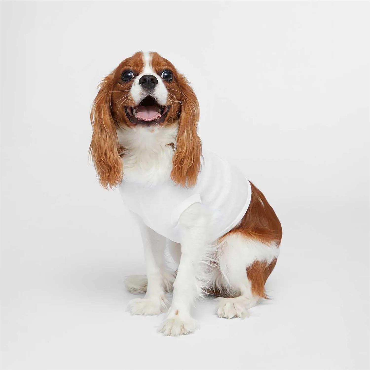 Doggie Skins Tank 18