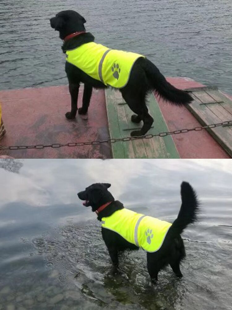 Dog Reflective Vest- M size 17