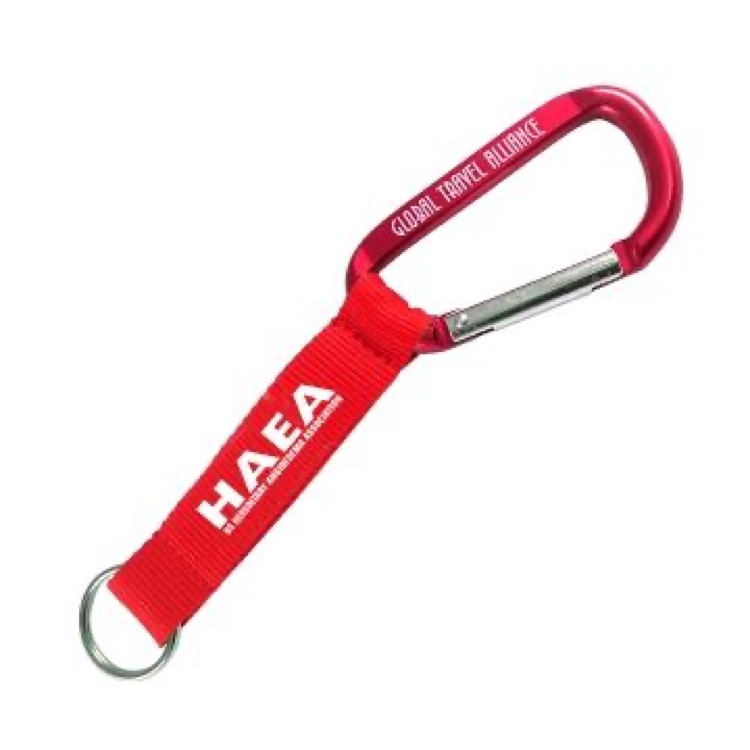 3 1/8" Carabiner w/ Screen Printed Strap (3 Days)