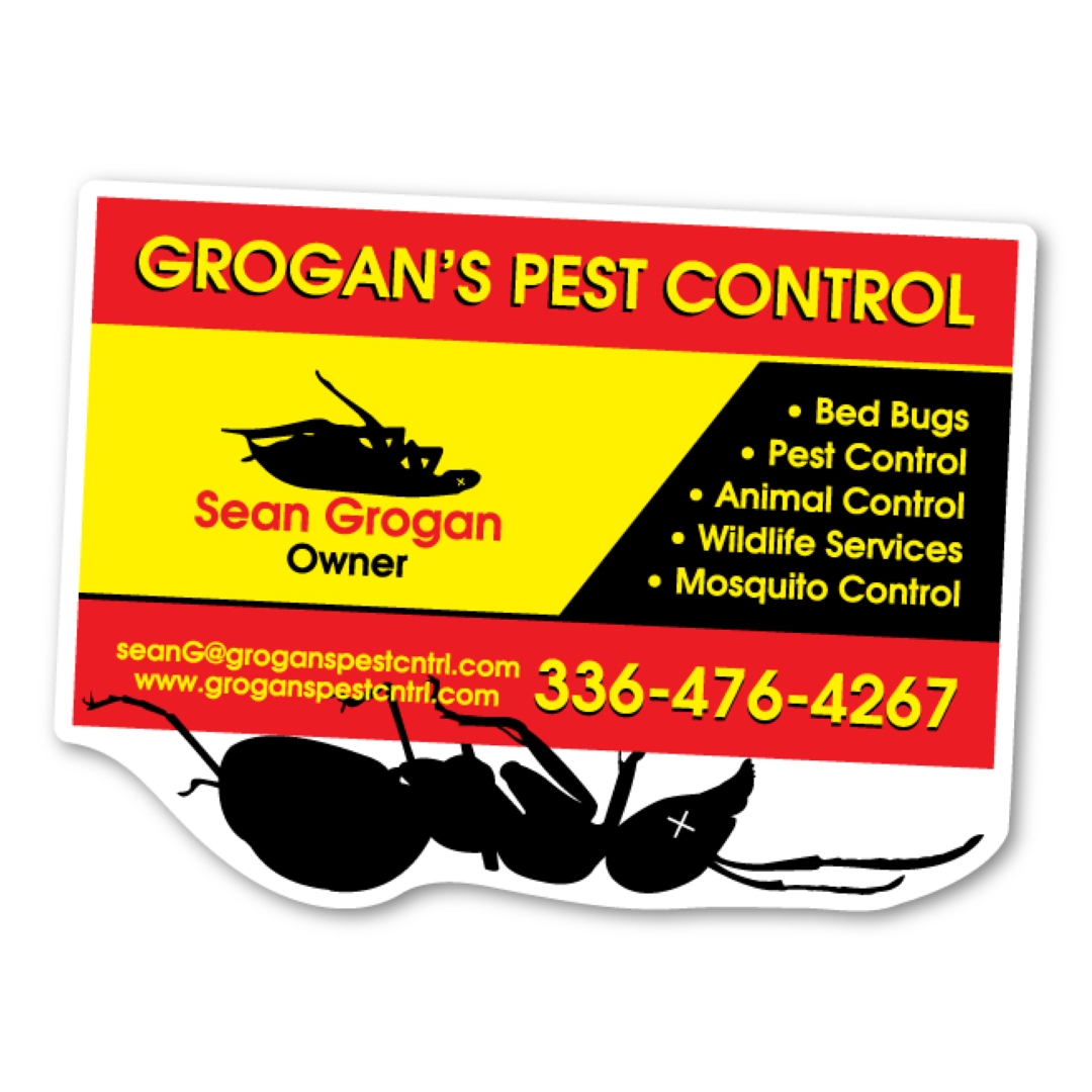 Dead Ant Card Magnet - 3.72" x 2.75" - 20 mil