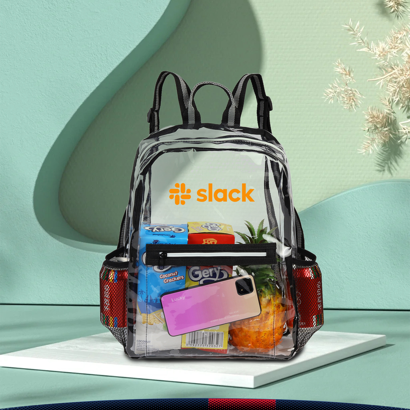 Priry Clear Backpack 4
