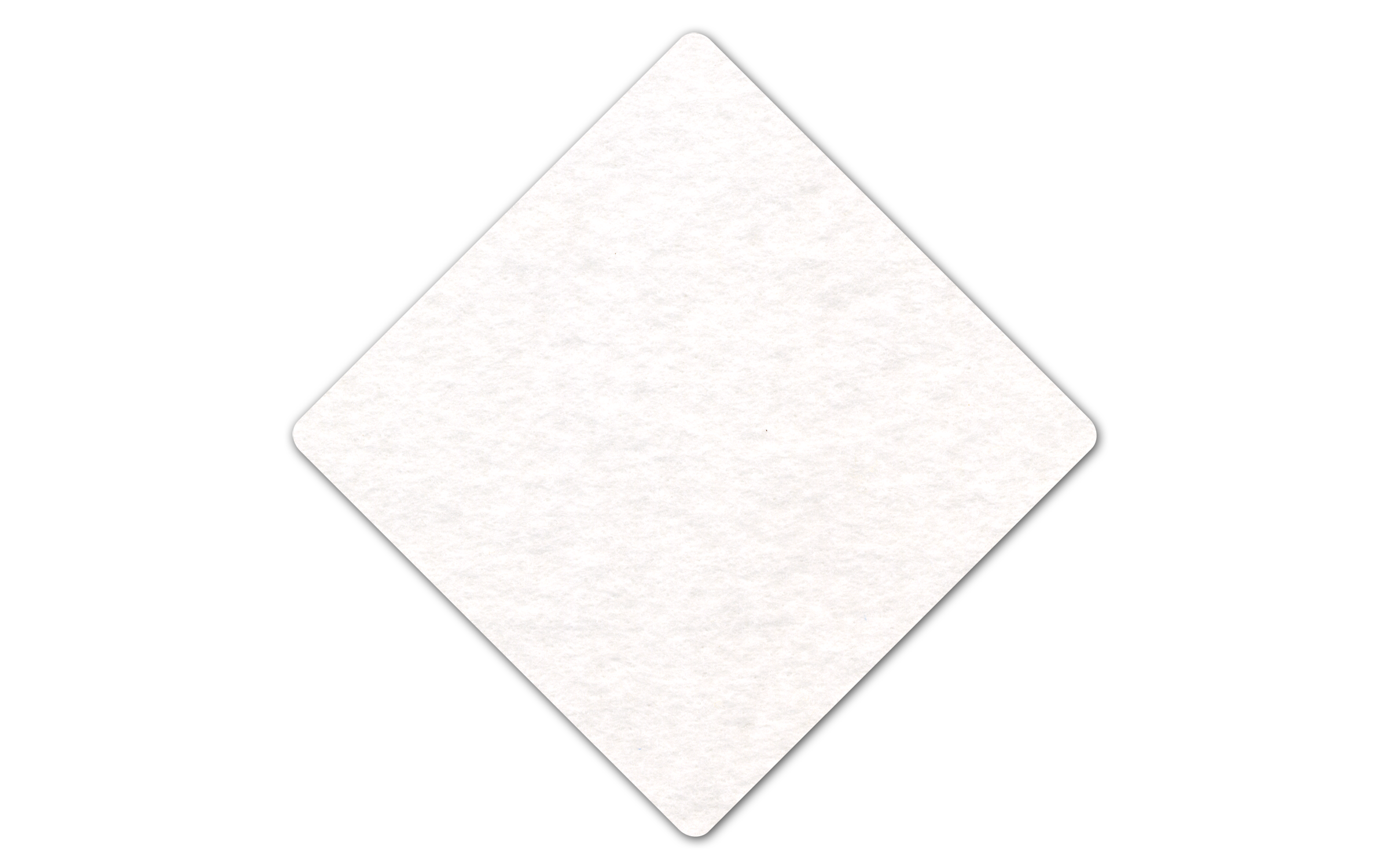 Diamond Shammy Coaster 7