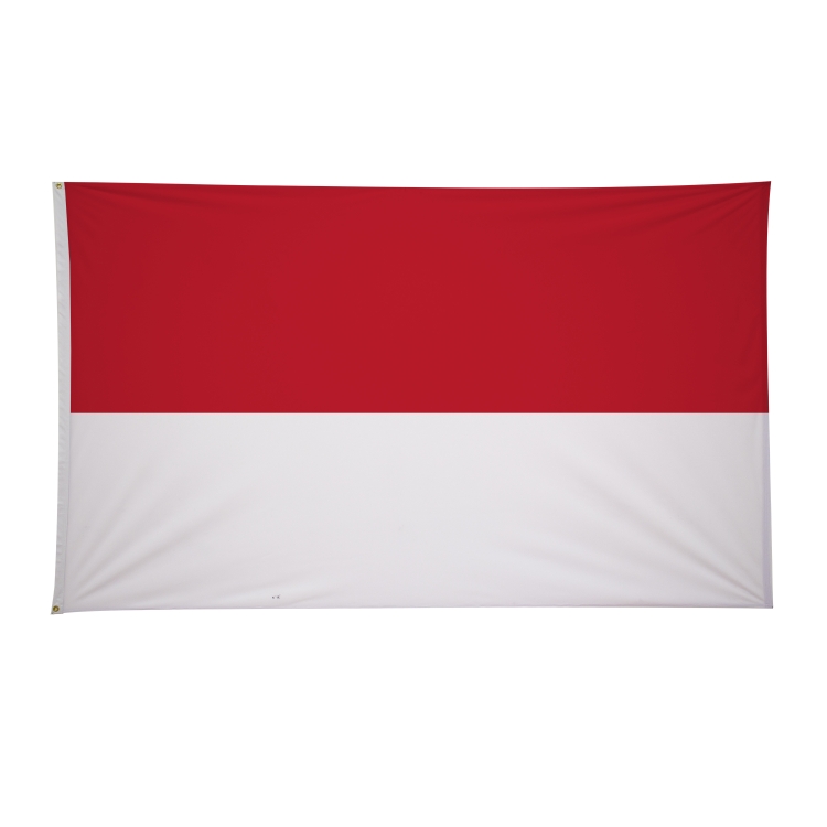 6' x 10' International Flags 196