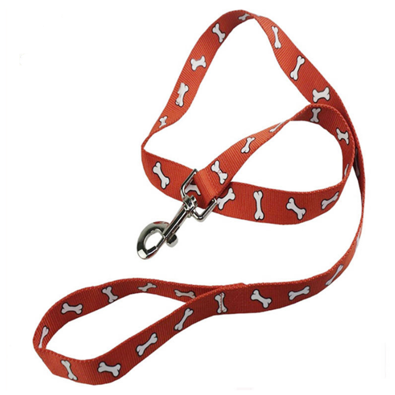 pet leash 1