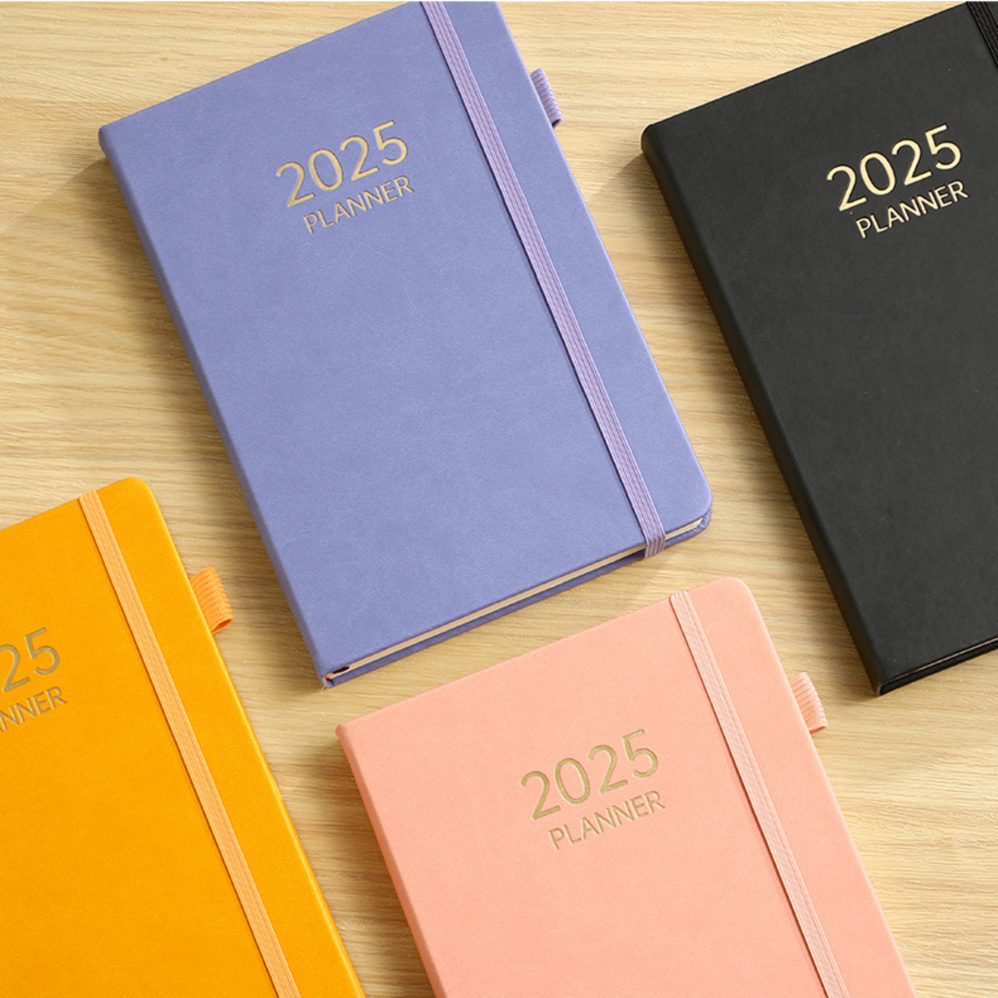 2025 Schedule Daily Planner 5
