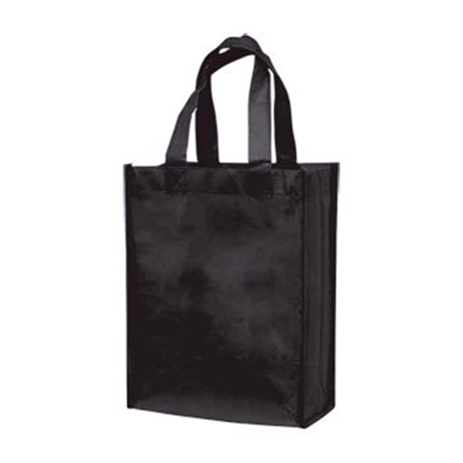 Small Laminated Tote Bag 3